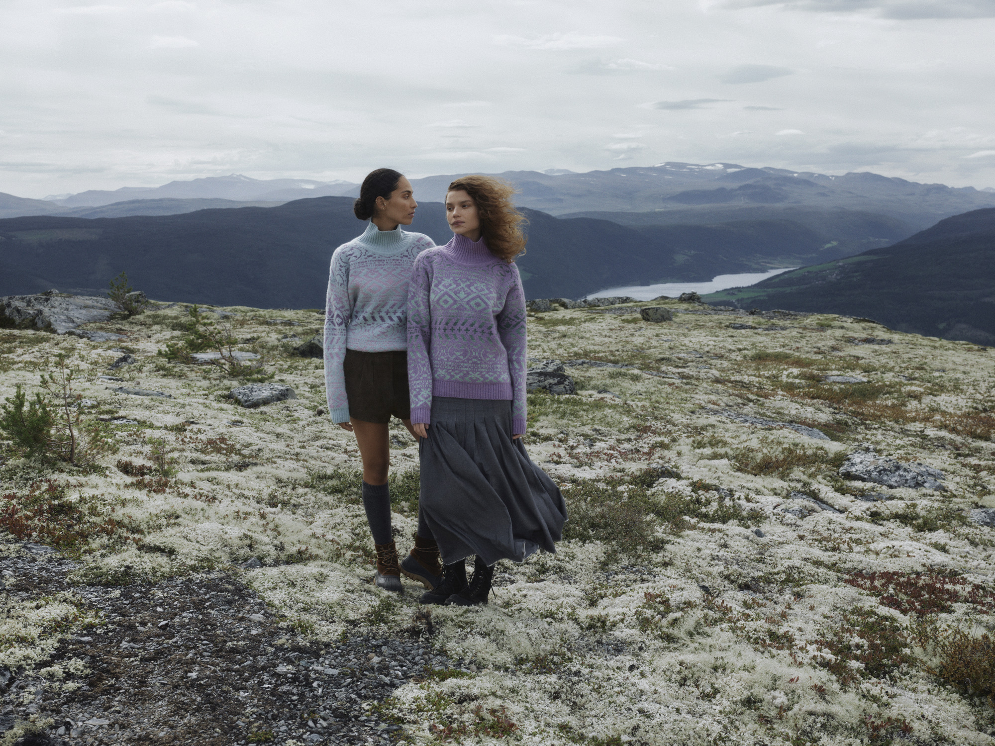 Highland genser Lilla