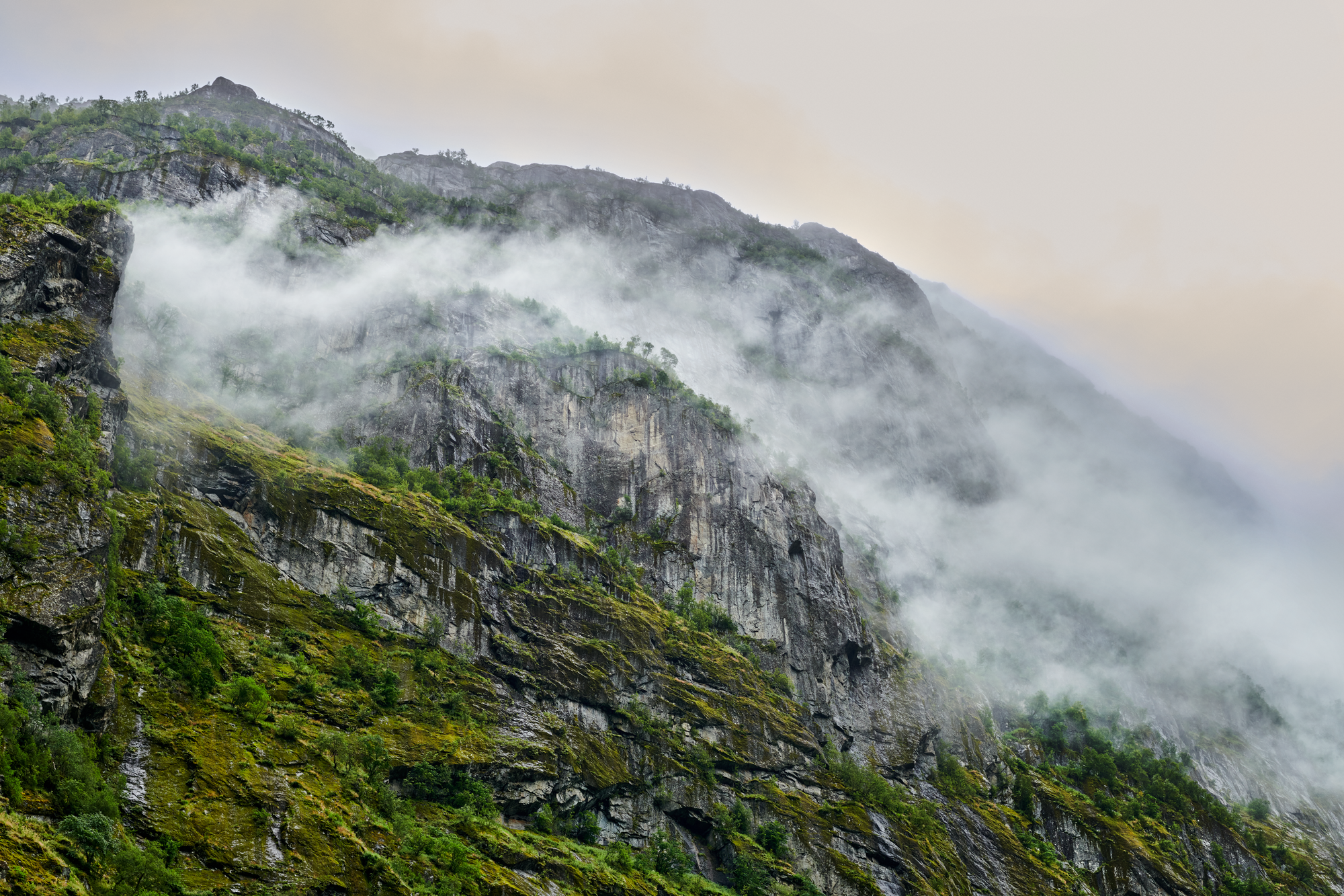 Dale natur med tåke